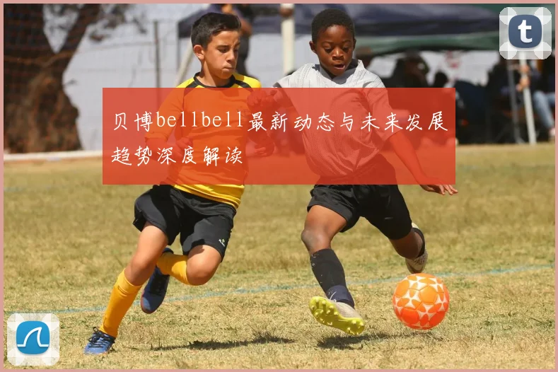 贝博bellbell最新动态与未来发展趋势深度解读