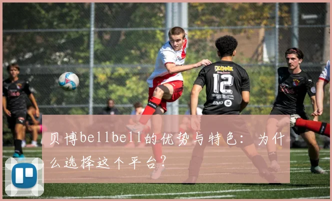 贝博bellbell的优势与特色:为什么选择这个平台?